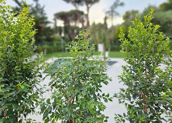 Villa Isabel Con Piscina Moderna E Area Benessere